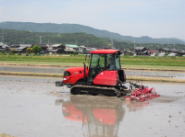 �����������������C���[�W