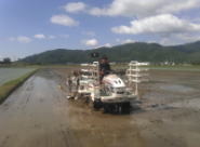 �����������������C���[�W